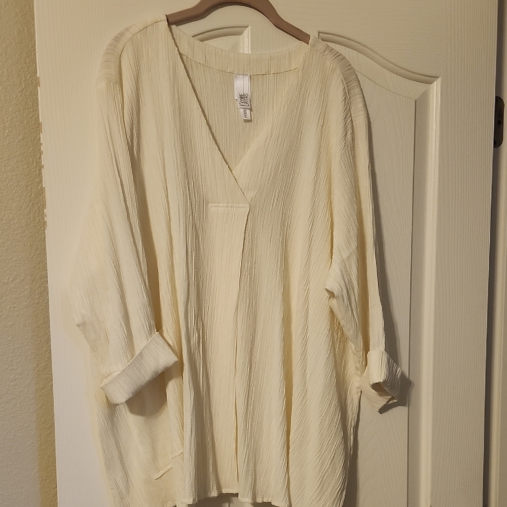Marla WynneCream V-Neck Blouse